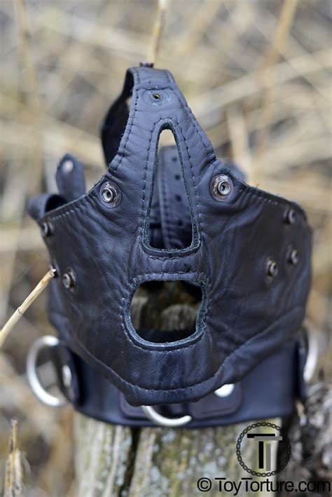 bishops head harness|Mr.